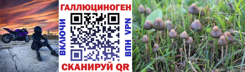 Галлюциногенные грибы Cubensis  Заволжск 